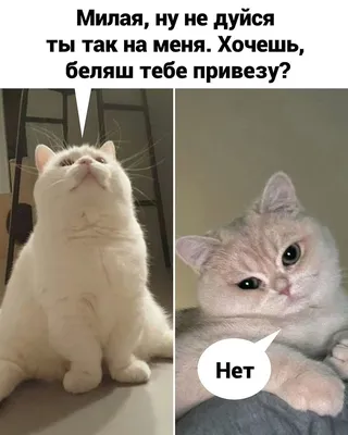 Картинки прости меня пожалуйста красивые и прикольные