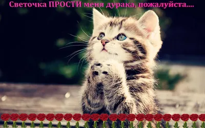 Ии, не дуйся, на меня посмотри) …» — создано в Шедевруме