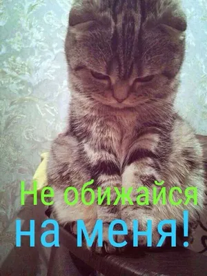 Купавушка. | Рассказы мадам Безе | Дзен