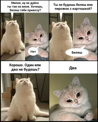 Точно не будешь | Пикабу