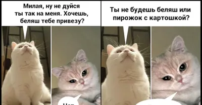 Картинки с надписью - Не обижайся (40 картинок) 🤣 WebLinks