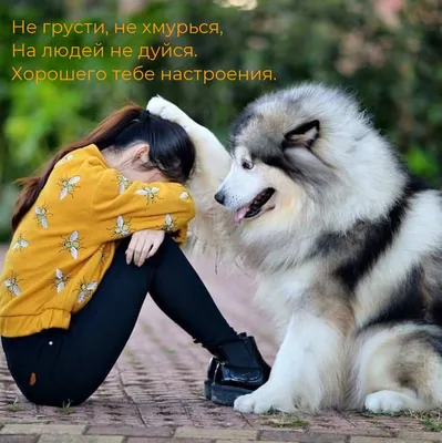 Ладно, не обижайся!