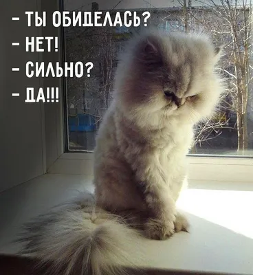 необижайся | TikTok