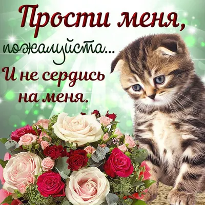 не обижайся на меня родная｜TikTok Search