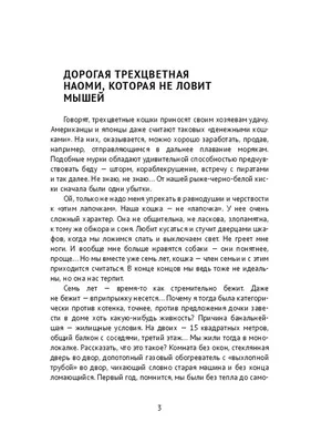 Маша, не обижайся, я же пошутил\" | История одного человека | Дзен