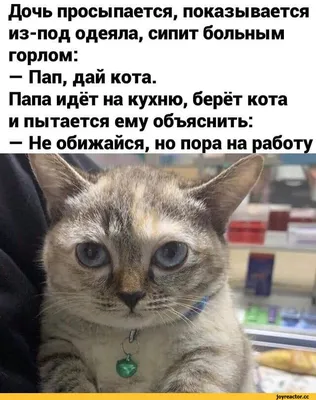 Сестрёнка, не обижайся». Надежда Петрова рассказала о приватной беседе с  Сереной Уильямс - Чемпионат