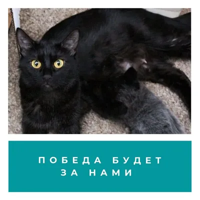https://www.tiktok.com/discover/%D0%BD%D0%B5-%D0%BE%D0%B1%D0%B8%D0%B6%D0%B0%D0%B9%D1%81%D1%8F-%D0%BD%D0%B0-%D0%BC%D0%B5%D0%BD%D1%8F-%D1%86%D0%B8%D1%82%D0%B0%D1%82%D1%8B