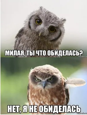 не обижайся на меня родная｜TikTok Search
