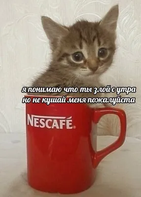 Открытка с именем Наташа Не обижайся. Открытки на каждый день с именами и  пожеланиями.