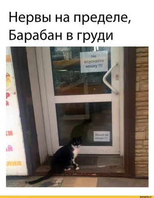 Кубик-антистресс «Нервы на пределе», джойстик купить в Чите Фиджет игрушки  в интернет-магазине Чита.дети (4785943)