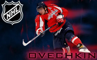 Скачать обои звезда, команда, вратарь, Хоккей, Hockey, Политпроект, СКА,  SKA, раздел спорт в разрешении 2560x1440