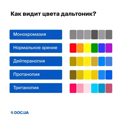 👁️Тест на дальтонизм. Таблицы Рабкина. 👉Для выявления дальтонизма  (цветовой слепоты) и его проявлений в современной офтальмологии… | Instagram