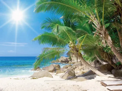 Обои Волна, 5k, 4k, 8k, океан, пальмы, солнце, Wave, 5k, 4k wallpaper, 8k,  ocean, palms, sun, Природа #5490