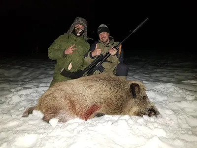 Сезон охоты на кабана, оленя, косулю в Крыму - crimeahunter.ru