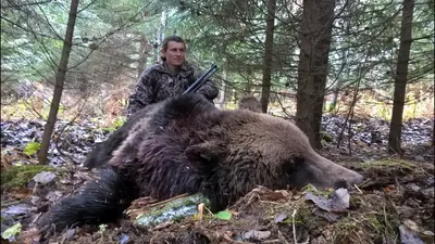 ЦЕНТРАЛЬНАЯ КАМЧАТКА. ОХОТА НА МЕДВЕДЯ. ОСЕНЬ. — Eventus Hunt