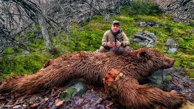 🐻 ОПАСНЫЙ МЕДВЕДЬ. Первая ПОТЕРЯ В ЭТОМ СЕЗОНЕ. Охота на медведя 2023 -  YouTube