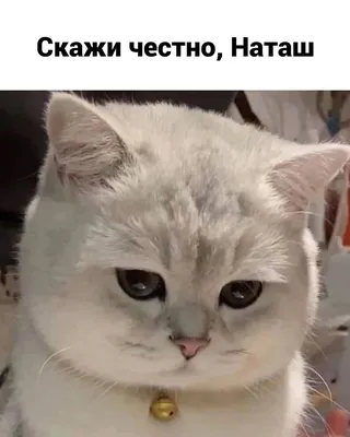 Ханно Томберг опять устроился на новую работу | Эстония | ERR