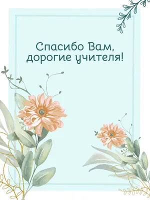Пряники-открытки на День Учителя в коробочке 30*12см в интернет-магазине  Ярмарка Мастеров по цене 720 ₽ – P59LABY | Набор пряников, Москва -  доставка по России