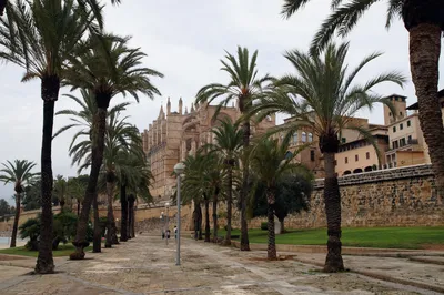 Пальма-де-Майорка, Испания (исп. Palma, кат. Palma) | Александр Закшевский  | Дзен
