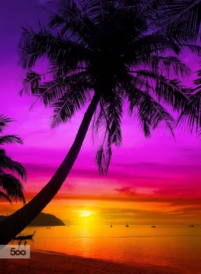 Закат с пальмами рисунок - 76 фото