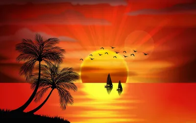 Maldives, palm trees, sunset Wallpaper 2848x4288