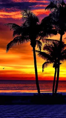 Закат на пляже: на фоне можно изобразить красивый закат на пляже с пальмами  и океаном на горизонте 4k 1920x1080 on Craiyon