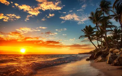 Pictures Sea Nature Palms Tropics sunrise and sunset 3840x2400