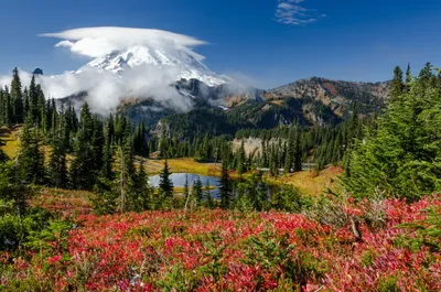 Пейзажи на рабочий стол (62 фото)