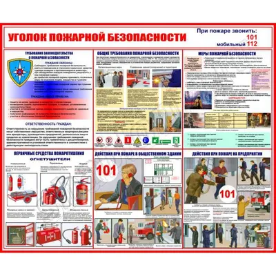 Лекция \"Организационные мероприятия по обеспечению пожарной безопасности  дошкольных учреждений и общеобразовательных школ\"