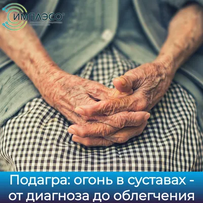Новости об подагра. Самые свежие новости об подагра сегодня в Украине на  Golos.ua