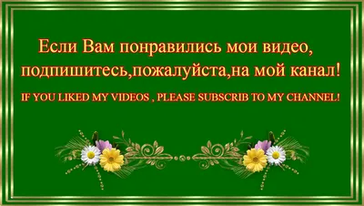 Краснодарских студентов заставляют подписаться на канал министра