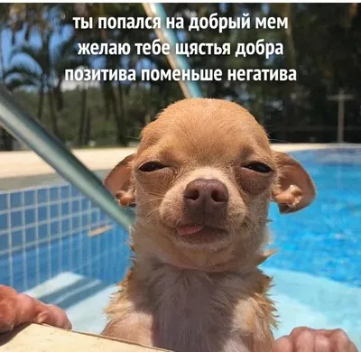 Картинки с шариками на аву (50 фото) • Прикольные картинки и позитив