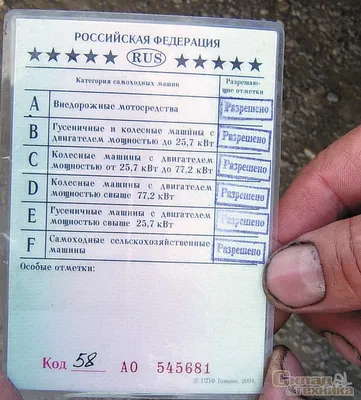 Права на автомобиль - 30 фото