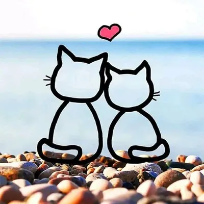 Няшка🐈 | Приколы и картинки на аватарку с котиками! | ВКонтакте