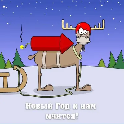 РАНЬШЕ • Щ / Новый Год :: Приколы для даунов :: подарок :: праздник ::  разное / картинки, гифки, прикольные комиксы, интересные статьи по теме.