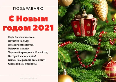 веселый новый год ОБОИ / смешные картинки и другие приколы: комиксы, гиф  анимация, видео, лучший интеллектуальный юмор.