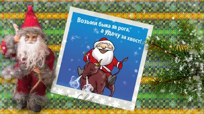 Все для веселого праздника. Игры, приколы, сюрпризы. Новый год! Выпуск 2 -  купить с доставкой по выгодным ценам в интернет-магазине OZON (137811672)