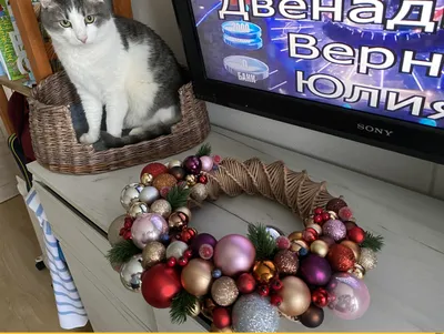 Новый год близко » Аниме приколы на Аниме-тян