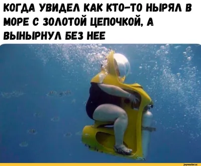 Приколы про туристов (50 фото)
