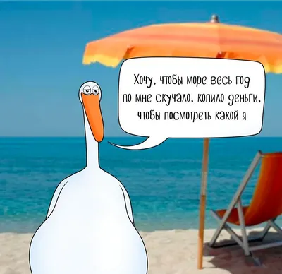 Когда даже бараш а отдыхает на море 😂😂😂 #море #отдых #беларусь #при... |  TikTok