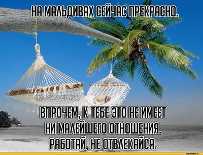КОГДА УВИДЕЛ КАК КТО-ТО НЫРЯЛ В МОРЕ С ЗОЛОТОЙ ЦЕПОЧКОЙ, А ВЫНЫРНУЛ БЕЗ НЕЕ  / Приколы для даунов :: разное / картинки, гифки, прикольные комиксы,  интересные статьи по теме.