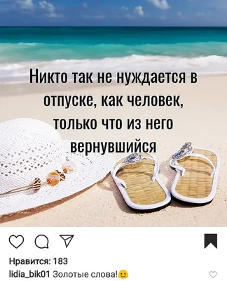 СОБРАЛИСЬ НА МОРЕ? Обеспечте кошку туалетом на весь срок вашего отдыха! /  котоматрица / смешные картинки и другие приколы: комиксы, гиф анимация,  видео, лучший интеллектуальный юмор.