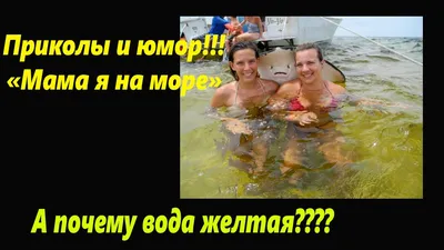 Прикольные картинки про море (39 лучших фото)