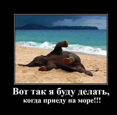 Приколы про море | (33 фото)