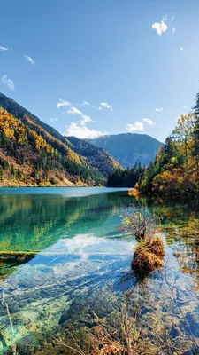 Картинки природа на заставку телефона (50 фото) • Прикольные картинки и  позитив | Пейзажи, Натуральный, Озеро морейн