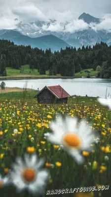 Бесплатные заставки с природой - Wallpapers, Nature, for 7 years kids |  HandCraftGuide