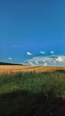 Красивые обои на рабочий стол природа - 67 фото
