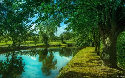 Красивые картинки природы на заставку - 73 фото