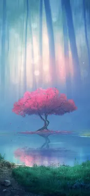 HD заставки природа 2560x1600, обои природы, лето зима весна осень, скачать  обои высокого качества