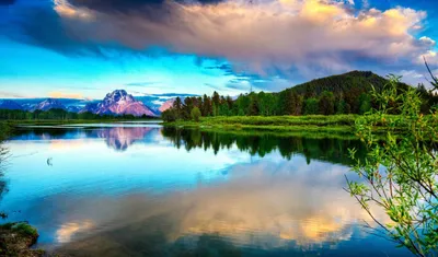 Заставка на телефон природа необычная - 55 фото